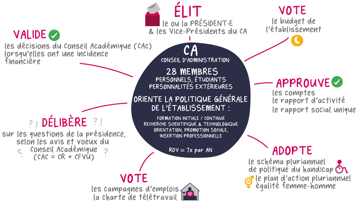 Facilitation graphique des rôles du Conseil d'Administration
